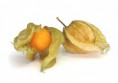 /album/a-nossa-quinta/phisalis-jpg/