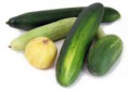 /album/a-nossa-quinta/pepino-jpg/