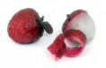 /album/a-nossa-quinta/litchis-jpg/
